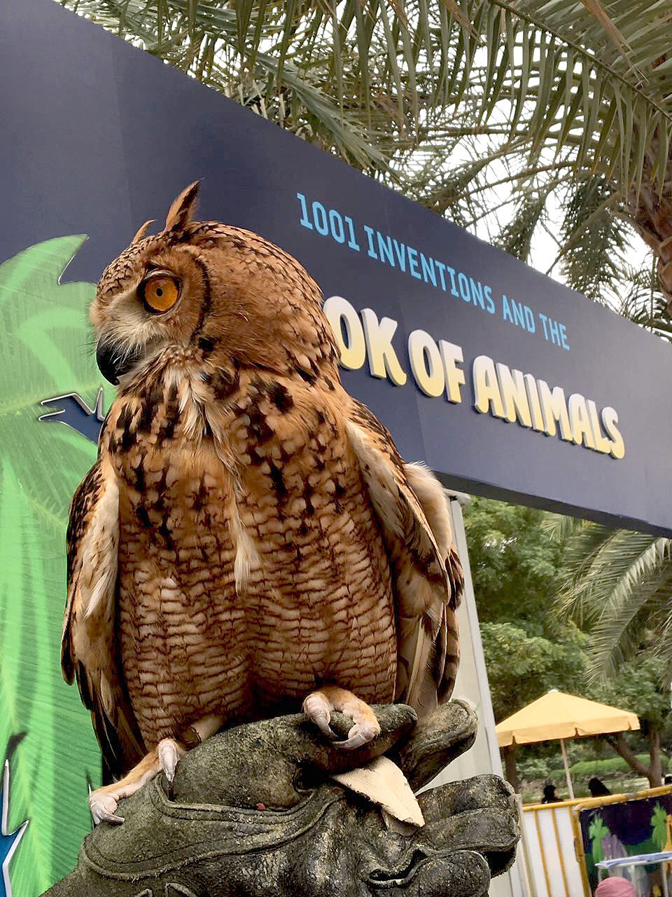 "1001 Inventions and the Book of Animals" launches at Al Ain Zoo