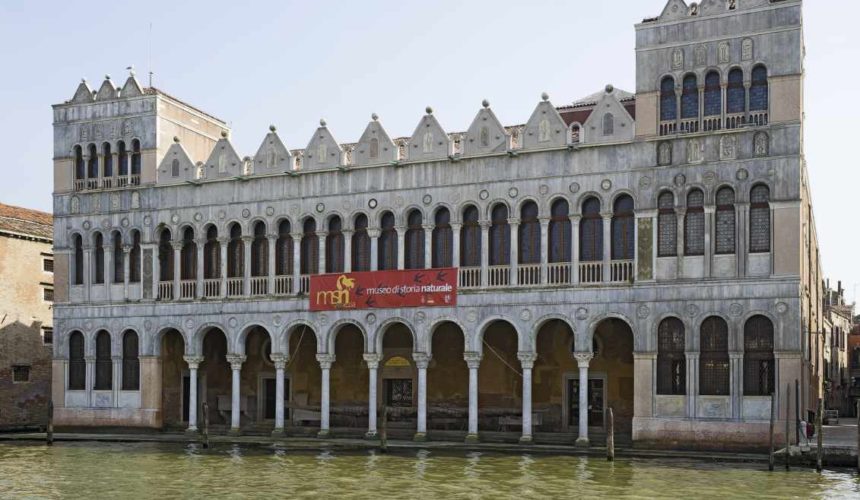 A palace built on the Grand Canal in Venice in the mid-13th century was allocated to the city's Turkish merchants in 1621 as warehouse and living accommodation, and was thereafter known as the Fondaco dei Turchi. Today it is Venice's natural history museum.
