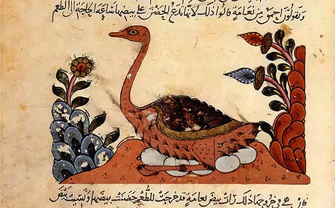 Page from the Book of Animals by African Arab naturalist and evolutionist al Jahiz.
