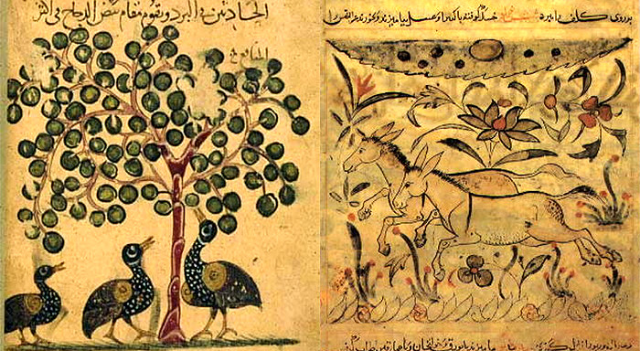Illustrations from Kitab Al Hayawan (Book of Animals) of Al-Jahiz 