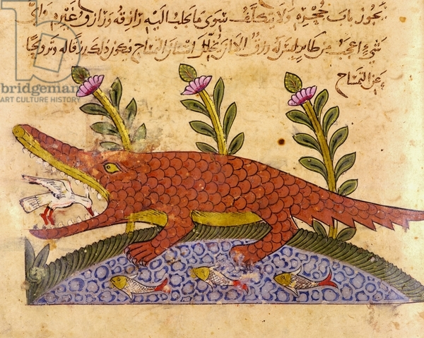 The Crocodile from The Book of Animals by Al-Jahiz