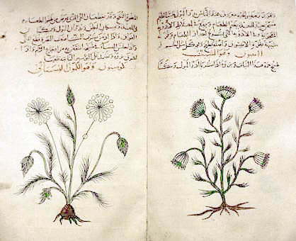 Stories - Major Works on Herbal Medicine from a Thousand Years Ago