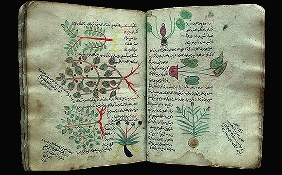 Stories - Major Works on Herbal Medicine from a Thousand Years Ago